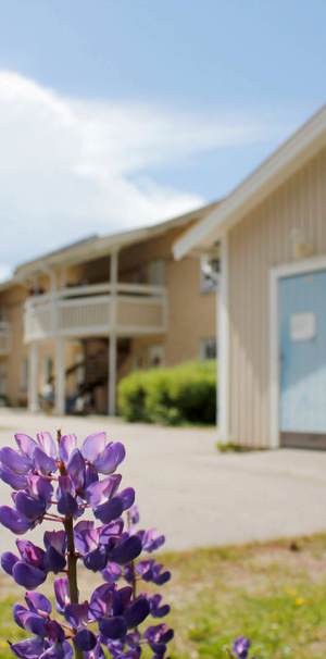 Stinsvägen 3 D - Foto 2