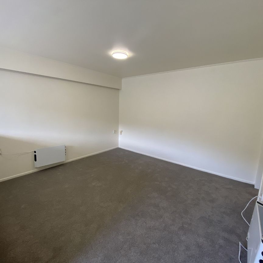 Owhiro Bay Living - Photo 1