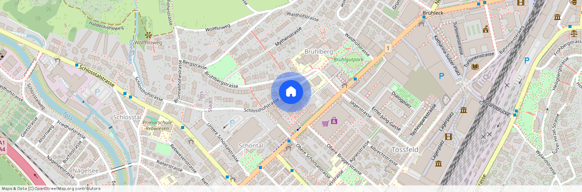 8400, Winterthur, Schlosshofstrasse, 21