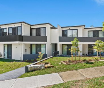 Furnished Studio Apartment - UTILITIES INCLUDED - Photo 3