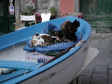 Monolocale via Giuseppe Mazzini 43, Centro, Vernazza - Photo 4