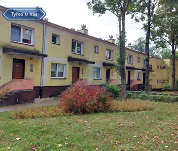 Dom na Wynajem, 100.00m - Photo 4