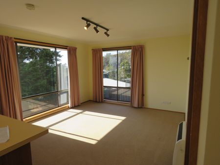 6 Hatton Gardens, Sandy Bay TAS 7005 - House For Rent | Domain - Photo 2