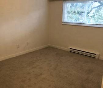 One Bedroom Apartment in Esquimalt! New paint and flooring! - Photo 3