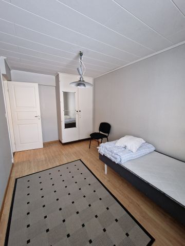 Hjortronstigen, Malå - Photo 5