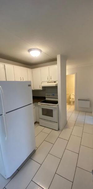 3 ET DEMI LIBRE IMMÉDIATEMENT - Photo 1