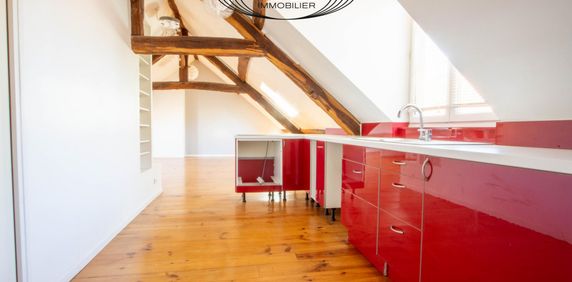 Location 54 Rue du Général Leclerc LOFT lumineux - Photo 2