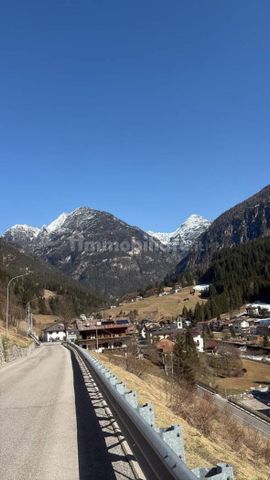 Trilocale via Cella, Auronzo, Auronzo di Cadore - Photo 3