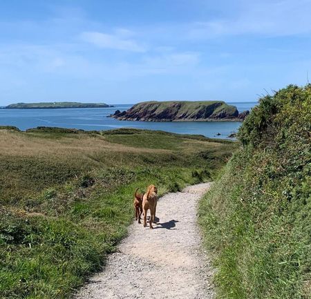 South Hill Cottages - Photo 2