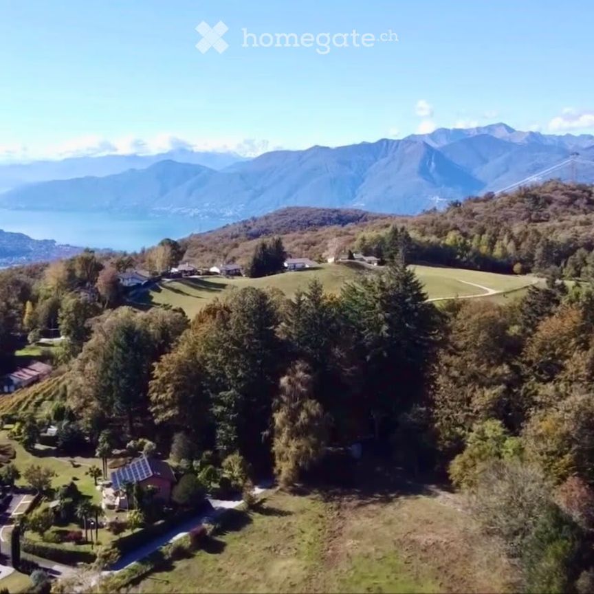 3 Zimmer, 40 m² - Foto 1