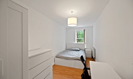 Renovated 3 Bedroom, 2 Bathroom Property Close to Uni! - Photo 4