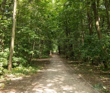 Dla miłośników spacerów po lesie - Zdjęcie 1