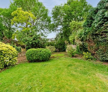 Studio to rent - Photo 6