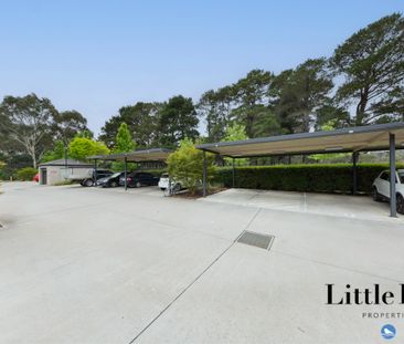 41/35 Tay Street, Watson ACT 2602 - Apartment For Rent | Domain - Photo 5