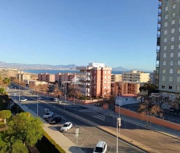 Elche / Elx - Photo 6