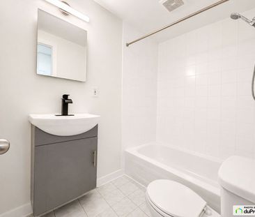 4301, rue de la Roche, Le Plateau-Mont-Royal à louer - Photo 6