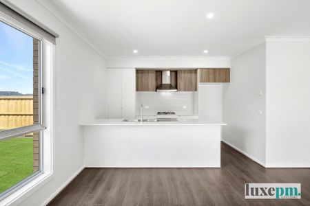 Are You Looking For Yard Space? - Photo 2
