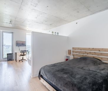 Appartement à louer - Montréal (Ville-Marie) (Centre Ouest) Apparte... - Photo 4