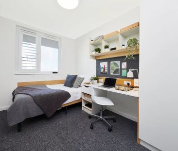 Premium Single Ensuite - Photo 4