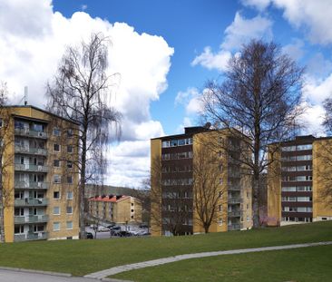 Liljebergsgatan, Borås - Photo 5