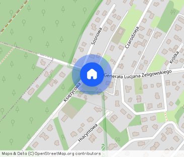 Wynajmę nowy dom / lokal użytkowy / lokal usługowy klasy Premium - Zdjęcie 1