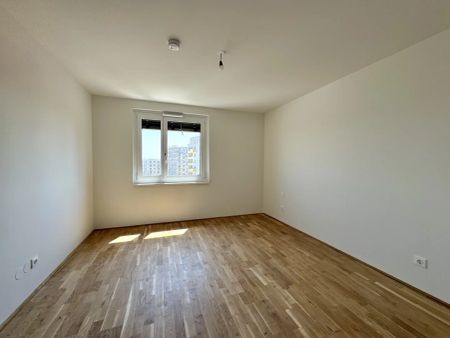 Gretls Garten – Miete mit Kaufoption – Erstbezug nahe Badeteich Hirschstetten - Photo 2
