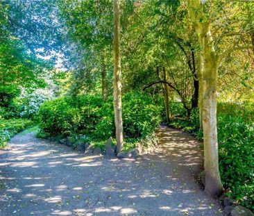 3 bedroom maisonette to rent - Photo 1