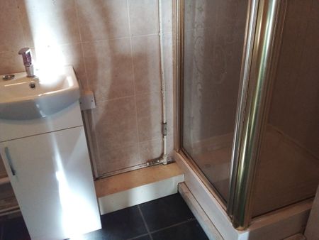 Studio Flat, Roman Terrace, LS8 - Photo 4