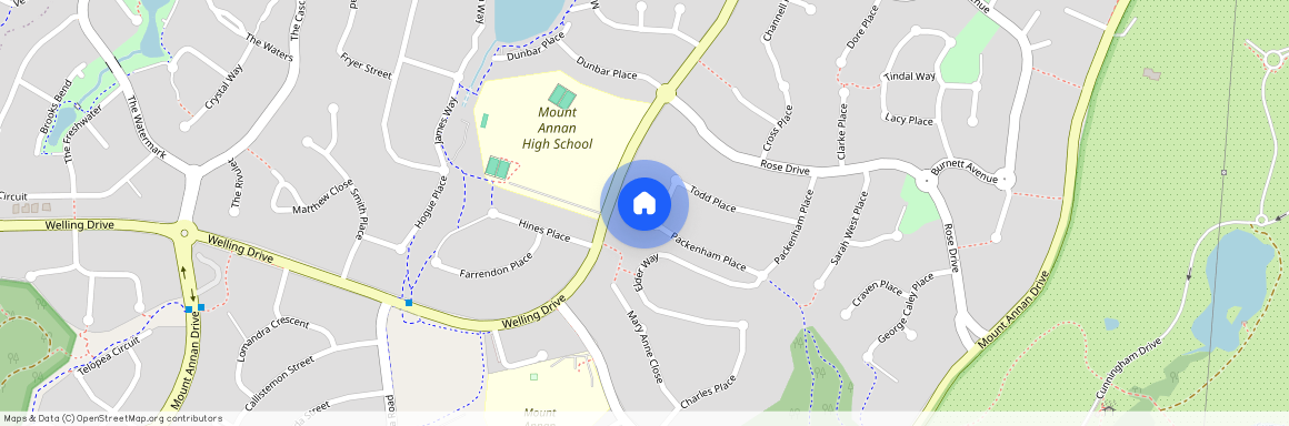 38 Todd Place, NSW 2567, Mount Annan