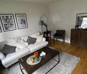 Larsgatan, Borås - Foto 4