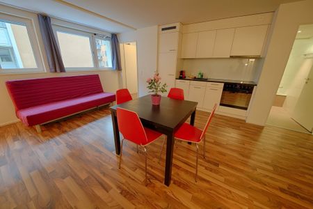 Urbanes Leben trifft auf Ruheoase - Foto 2