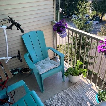 Beautiful 1BD (Central Abbotsford) - Photo 4