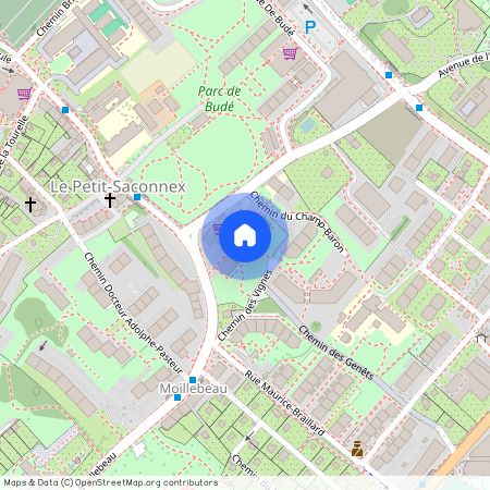 1209, Genève, Rue De Moillebeau, 54