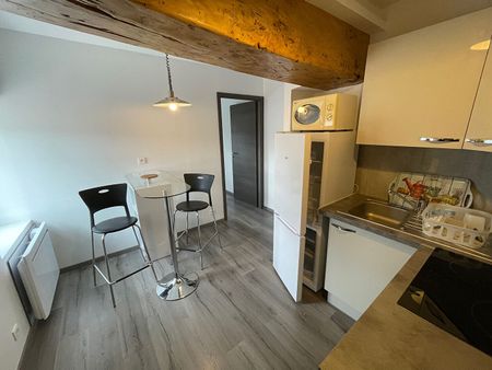 Appartement MEUBLÉ Loyettes 2 pièce(s) 31.61 m2 - Photo 5