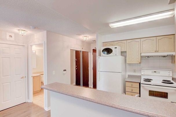 For Lease - 22 Olive Avenue Unit# 316, Toronto, Ontario - Photo 1