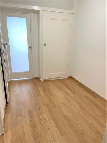 Malagnou - Champel - Foto 5