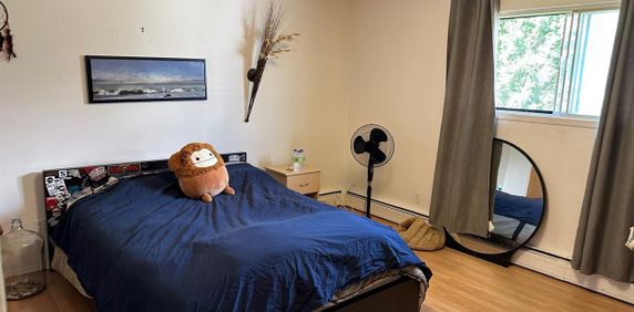 37 Rue Saint-Hyacinthe ? Magnifique Appartement à Louer – 37 Rue Saint-Hyacinthe, Hull! ? - Photo 2