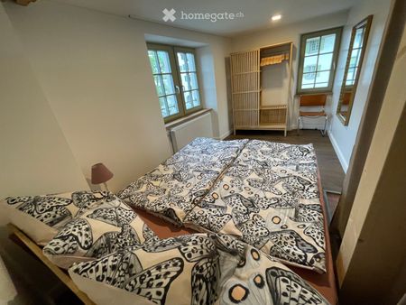 Möblierte 2-Zimmer-Wohnung in der Altstadt Schaffhausen - Foto 2