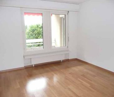 2.5 Zimmer, 56 m², 1. Stock - Foto 6