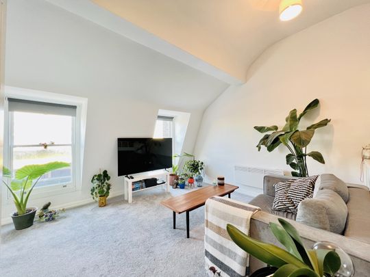 1 Bed Flat, Atlantic Road, SW9 - Photo 1