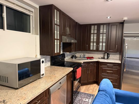 For Lease - 124 Tanoak Drive Unit# bsmnt, London North, Ontario - Photo 1