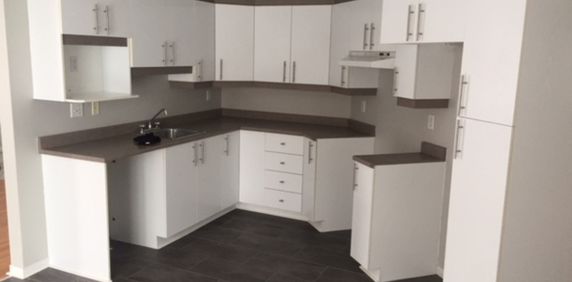 Grand 4.5 Climatisé à Louer, St-Nicolas - Photo 2