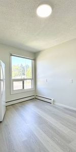 Brand new 3 bed 2 bath spacious apartment, steps to U o C - Photo 3