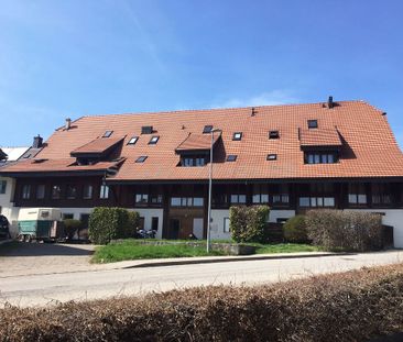 APPARTEMENT AVEC TERRASSE DANS UNE ANCIENNE FERME RENOVEE - Foto 1