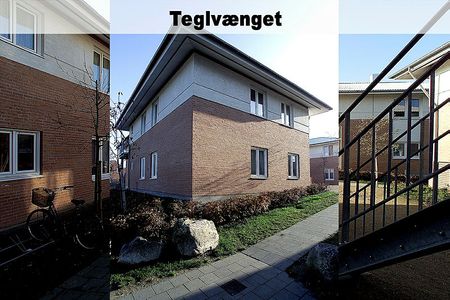 Rørsangervej,Teglvænget,Birkefredsvej 446-0 - Photo 5