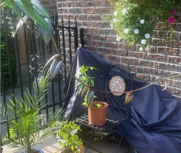 2 bedroom cottage to rent - Photo 6