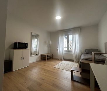 Appartement 1 pièce à Montigny-lès-Metz - Photo 4