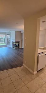 Spacious 1 Bedroom Suite Fully Renovated with large Terrace - Photo 4