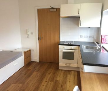 Unit 10 Lower Holyhead Road - Photo 3