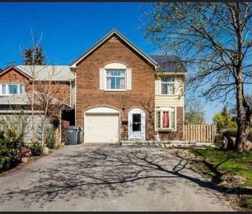 For Lease - 72 Rotherglen Court, Brampton, Ontario - Photo 3